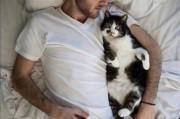 养猫的野男孩 爆料视频,独家爆料视频背后的故事